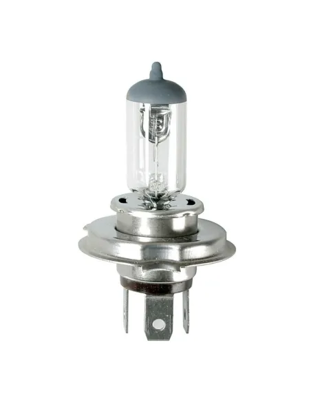 Lampara Halogena Hs1 12V 35/35W P43T