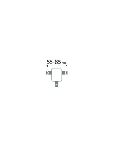 LAM72551