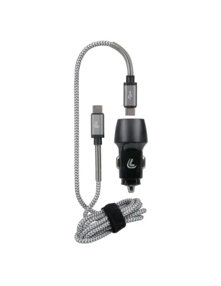 LAM38715