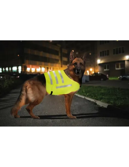Chaleco Reflectante De Alta Visibilidad Para Animales Talla L