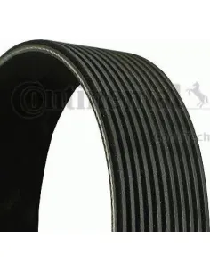 Correa trapecial poli V