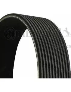 Correa trapecial poli V