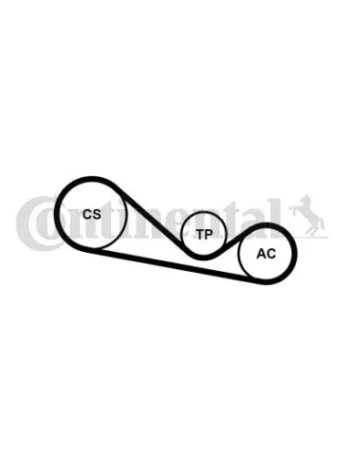 Juego de correas trapeciales poli V