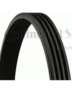 Correa trapecial poli V