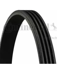 Correa trapecial poli V