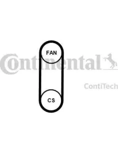 Correa trapecial poli V
