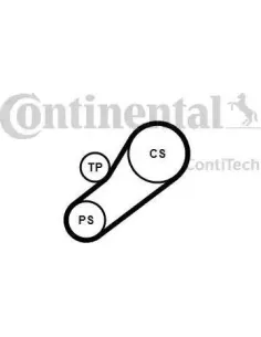 Juego de correas trapeciales poli V
