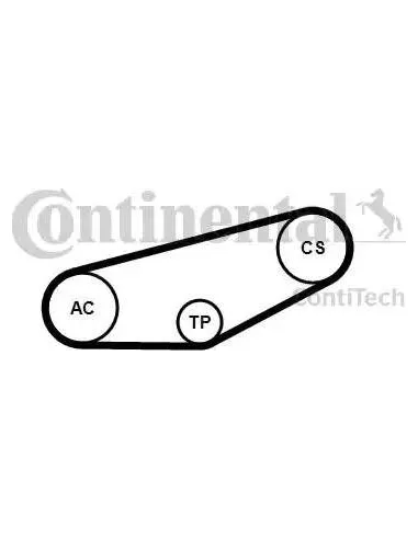 Juego de correas trapeciales poli V