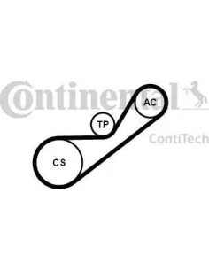Juego de correas trapeciales poli V