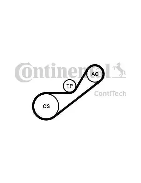 Correa auxiliar Poly-V Continental 4PK925K1 4 canales 925 mm