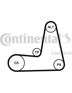 Juego de correas trapeciales poli V