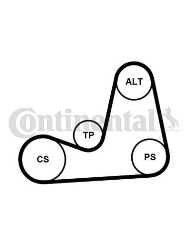 Juego de correas trapeciales poli V