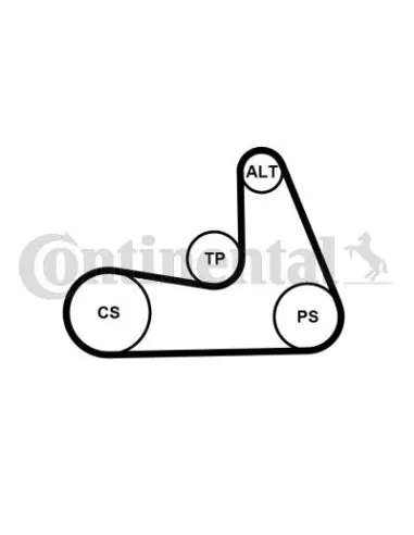 Juego de correas trapeciales poli V