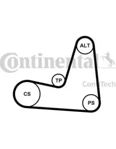Juego de correas trapeciales poli V
