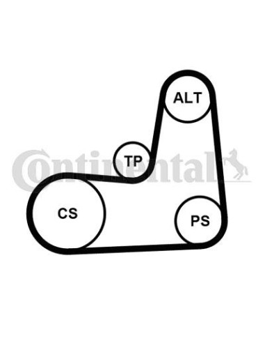 Juego de correas trapeciales poli V