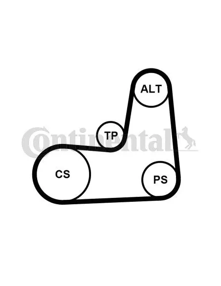 Correa auxiliar Poly-V Continental 5PK1135K2 5 canales 1135 mm