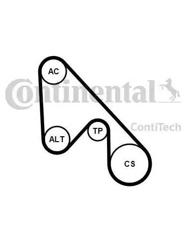 Juego de correas trapeciales poli V