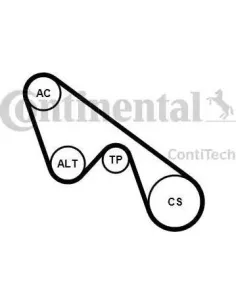 Juego de correas trapeciales poli V