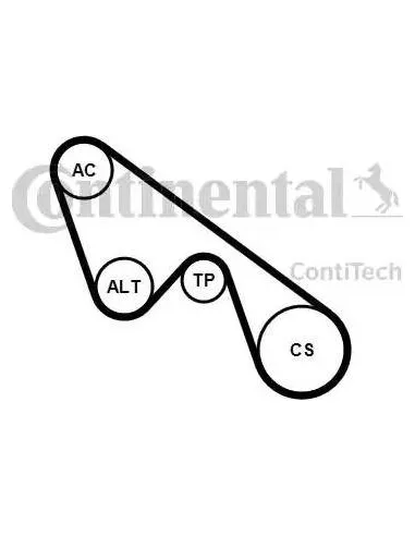 Juego de correas trapeciales poli V