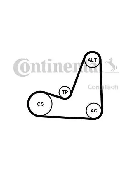 Correa auxiliar Poly-V Continental 5PK1200K1 5 canales 1200 mm