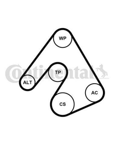 Juego de correas trapeciales poli V