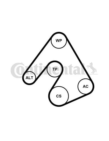 Correa auxiliar Poly-V Continental 5PK1207WP1 5 canales 1207 mm