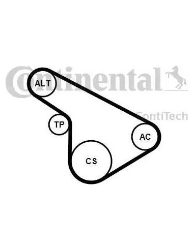 Juego de correas trapeciales poli V