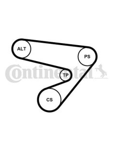 Juego de correas trapeciales poli V