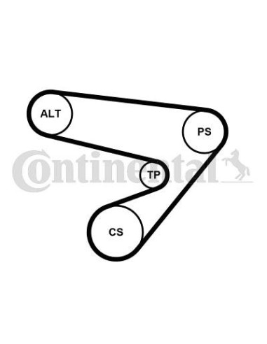 Juego de correas trapeciales poli V