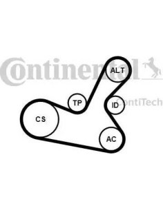 Juego de correas trapeciales poli V