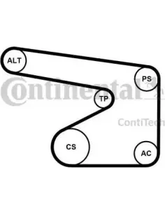 Juego de correas trapeciales poli V