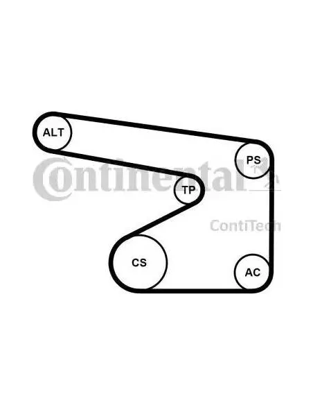 Correa auxiliar Poly-V Continental 5PK1355K1 5 canales 1355 mm