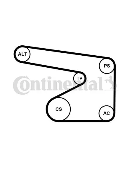 Correa auxiliar Poly-V Continental 5PK1355WP3 5 canales 1355 mm