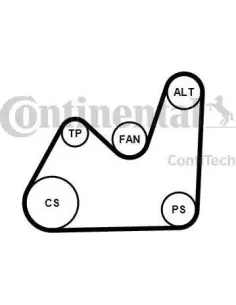 Juego de correas trapeciales poli V