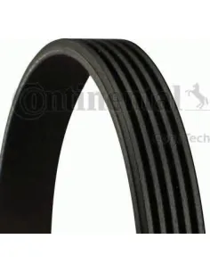 Correa trapecial poli V