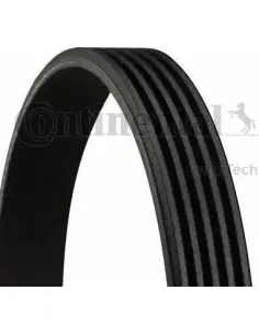 Correa trapecial poli V