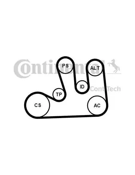Correa auxiliar Poly-V Continental 5PK1750K1 5 canales 1750 mm