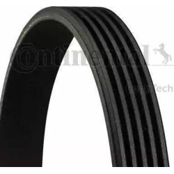 Correa trapecial poli V