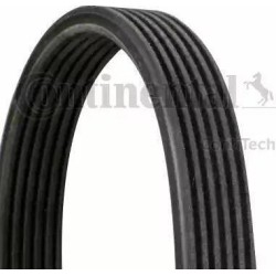 Correa trapecial poli V