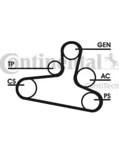 Juego de correas trapeciales poli V