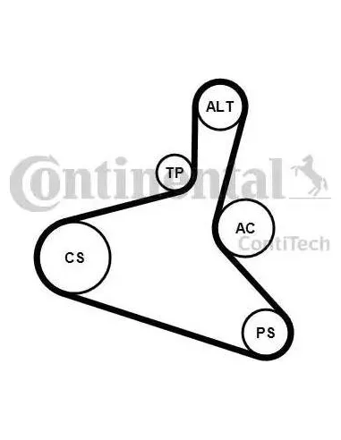 Juego de correas trapeciales poli V