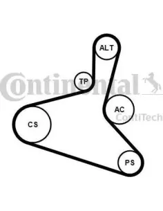Juego de correas trapeciales poli V