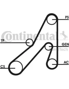 Correa trapecial poli V