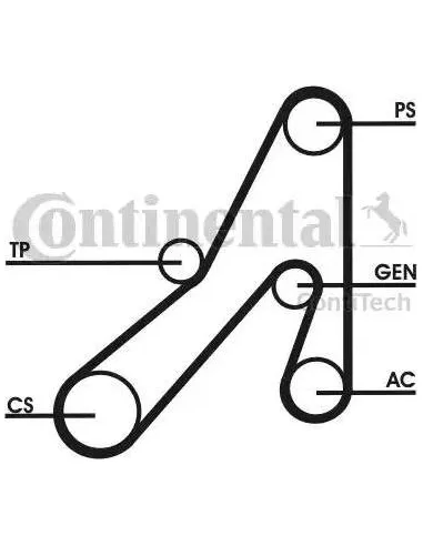 Correa trapecial poli V