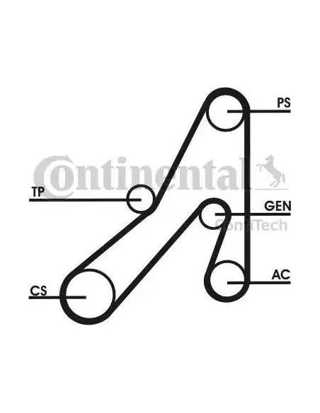 Correa auxiliar DPK Continental 6DPK1841D1 6 canales 1841 mm