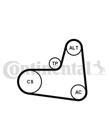 Juego de correas trapeciales poli V