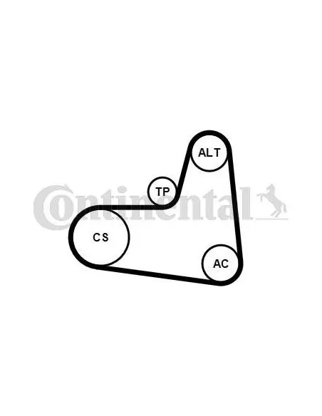Correa auxiliar Poly-V Continental 6PK1005K1 6 canales 1005 mm