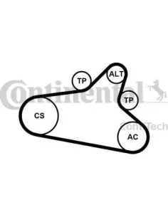 Juego de correas trapeciales poli V