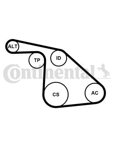 Juego de correas trapeciales poli V