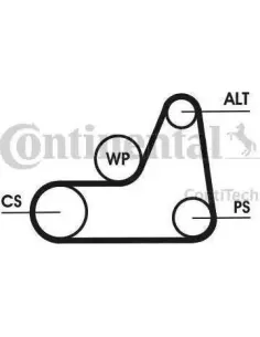 Correa trapecial poli V